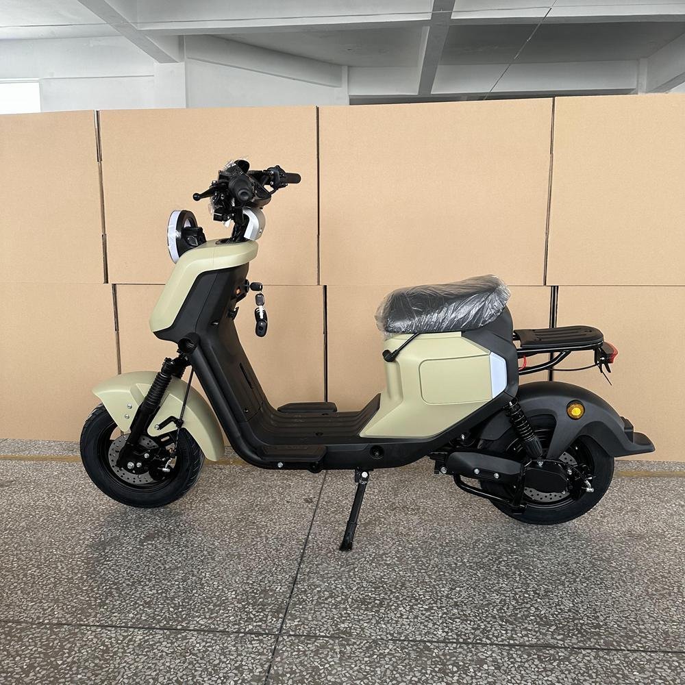 Engine Electric Bike: Best Picks