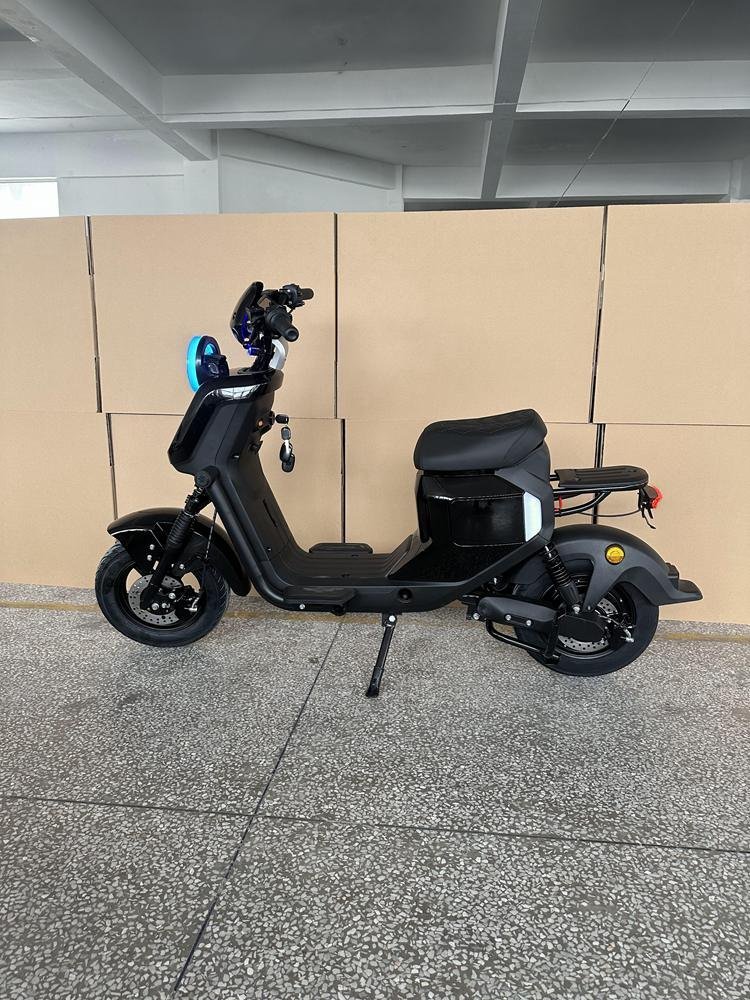 Exploring the World of E-Bike Electric Options