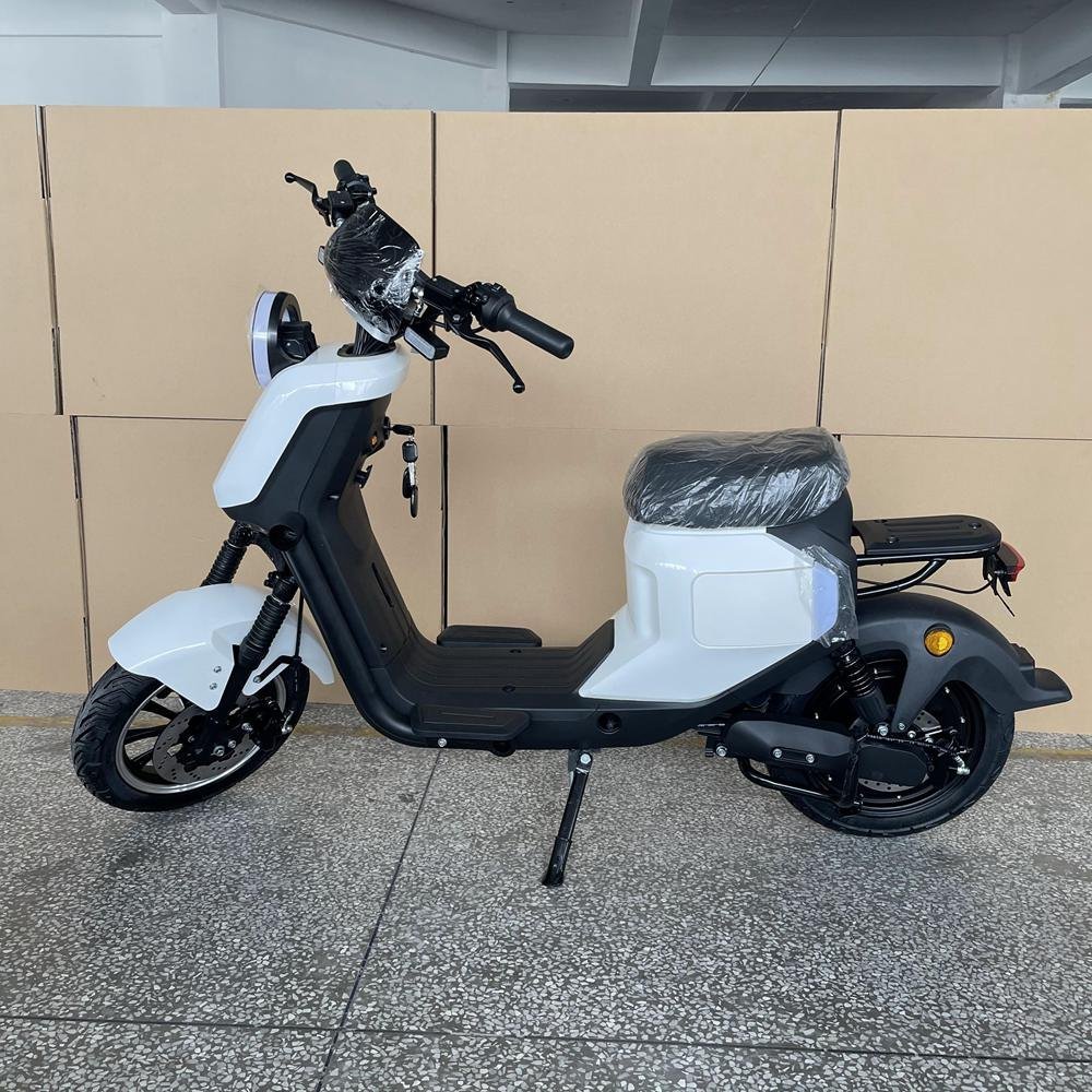 Latest Electric Bicycle: What's New in 2024