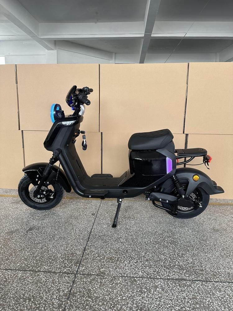 Lithium Battery E-Scooter for Efficiency