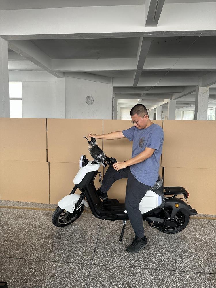 Lithium Battery for Electric Scooter: Top Picks