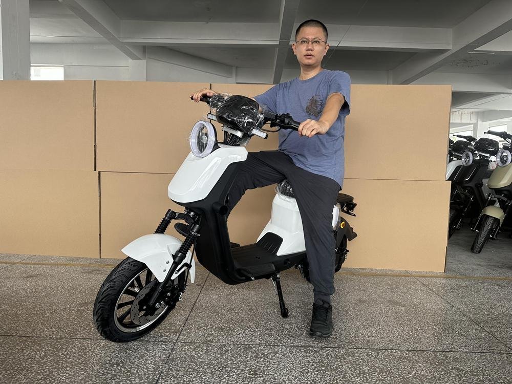 Motorised Scooters for Adults: Best Models Reviewed