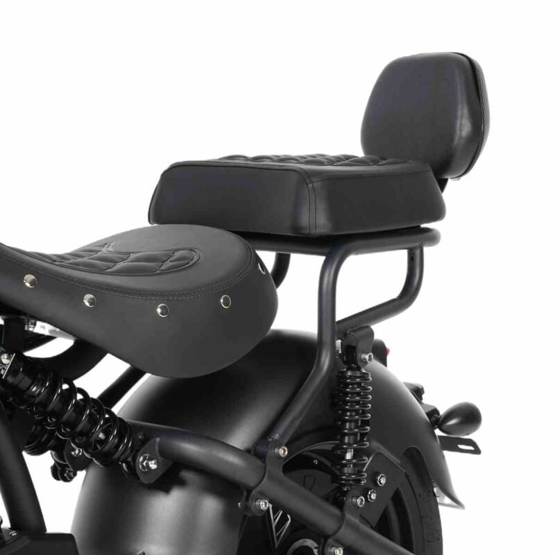 Rear Seat for M1PS Motorcycle A Comprehensive Overview