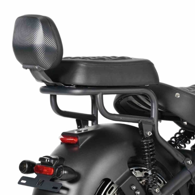 Rear Seat for M1PS Motorcycle A Comprehensive Overview