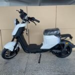 Scooter on a Scooter: Top Picks