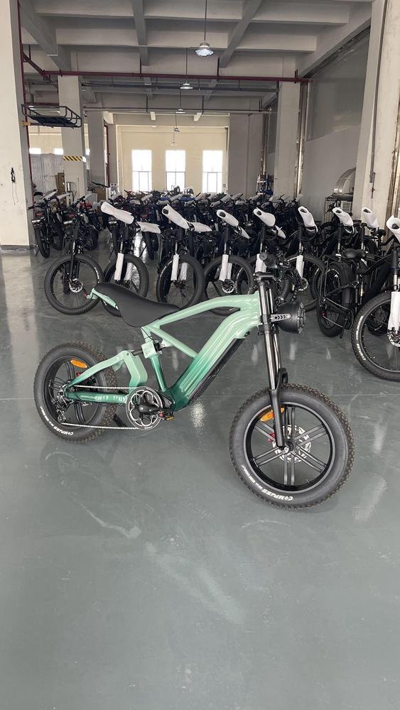 Unleashing Potential: Electric Motorcycle Gabon