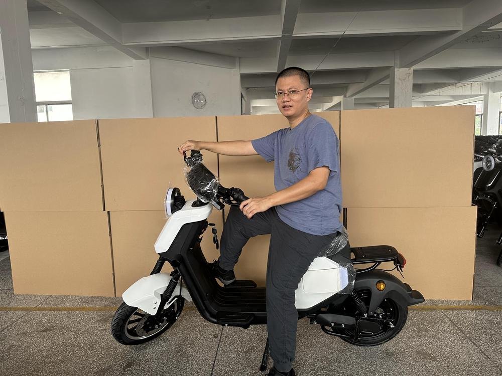 Without Battery Scooter: Best Models