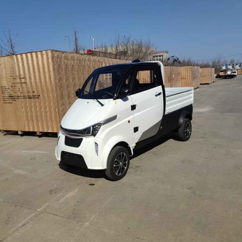 affordable electric vehicles manufacturer dealer wholesale