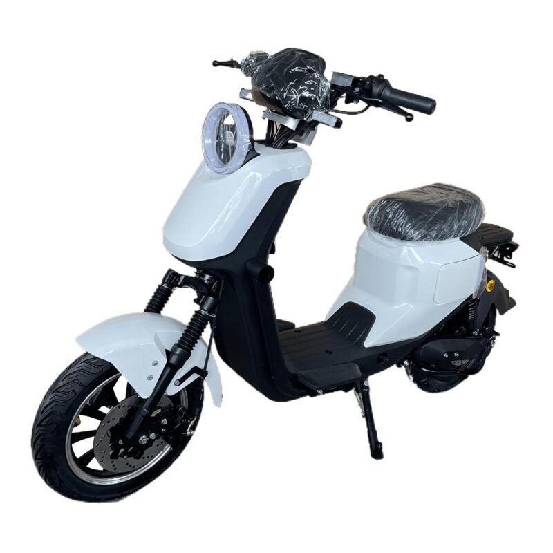 an electric motorcycle r1021 60v 1500w 12 inch tire lithium CKD