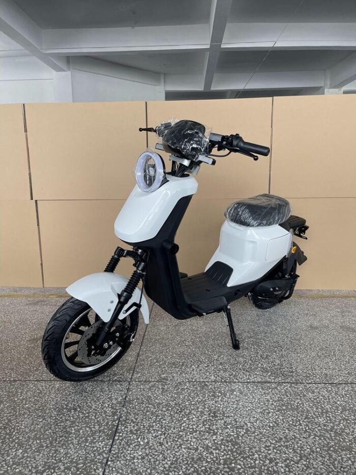 an electric motorcycle r1021 60v 1500w 12 inch tire lithium CKD