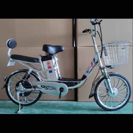 cheap electric moped for adults r806g 20inch wholesale