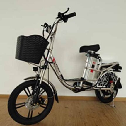 cheap electric moped scooter r806d whoelsale