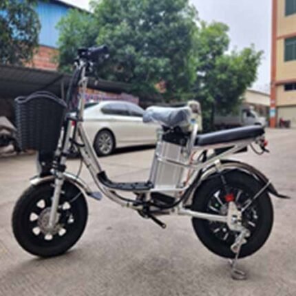 cheap long range electric scooter r806j with removable battery