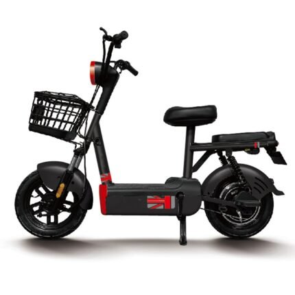 discount electric scooters r1000 48v 12ah CKD wholesale