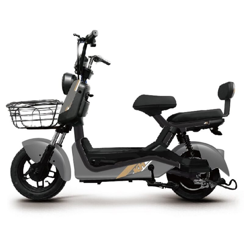 electric bicycle scooter r1001 48v 60v 20a battery CKD SKD