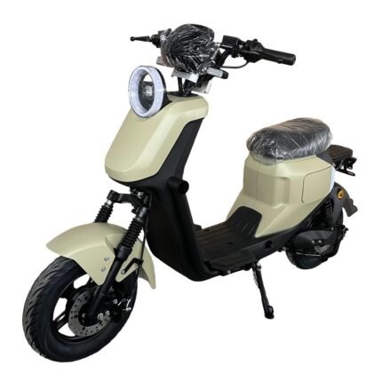 electric motorcycle scooters for adults r1020 60v 1000w 20ah CKD