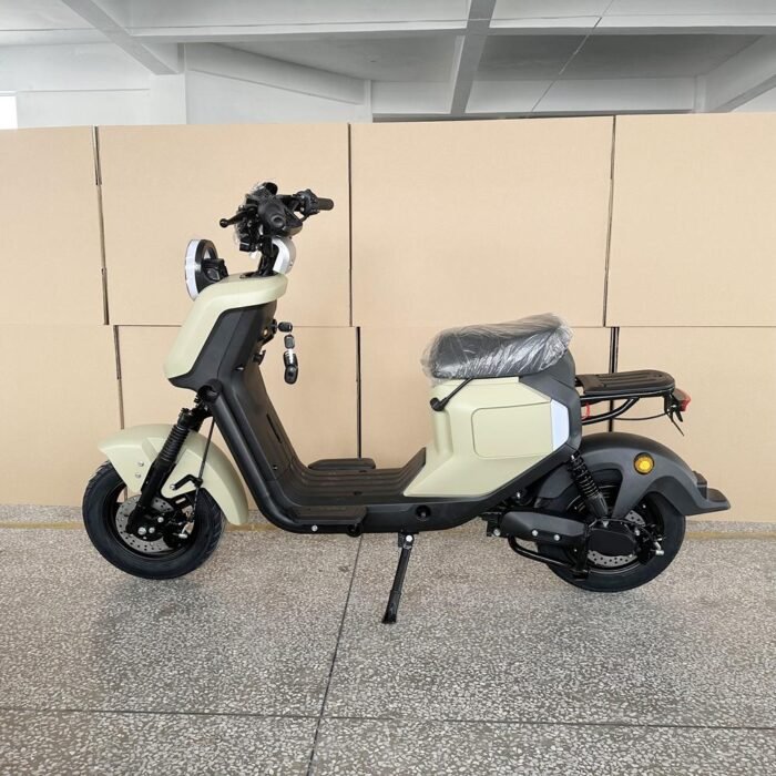 electric motorcycle scooters for adults r1020 60v 1000w 20ah CKD