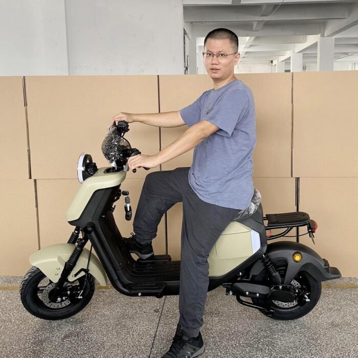 electric motorcycle scooters for adults r1020 60v 1000w 20ah CKD