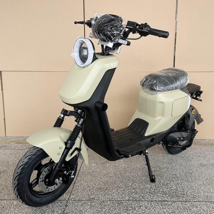 electric motorcycle scooters for adults r1020 60v 1000w 20ah CKD