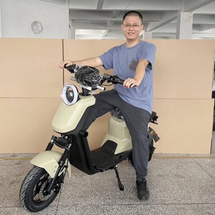 electric motorcycle scooters for adults r1020 60v 1000w 20ah CKD