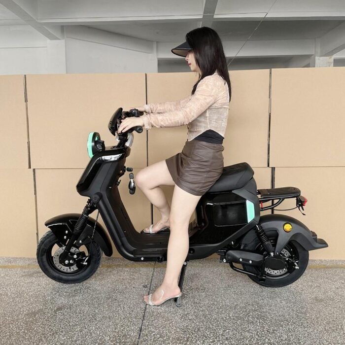 electric motorcycle scooters for adults r1020 60v 1000w 20ah CKD