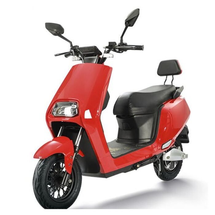 electric street scooter r3020 10 inch 48v 1000w CKD for sale