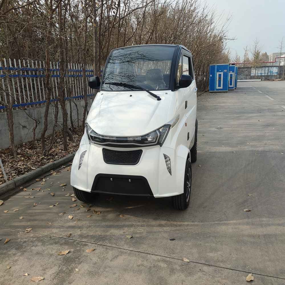 electric van vehicle manufacturer dealer wholesale