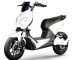 Electric Walking: Best Picks