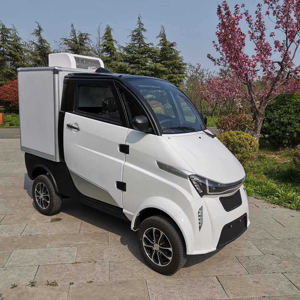 mini electric car for 2 passengers manufacturer dealer wholesale