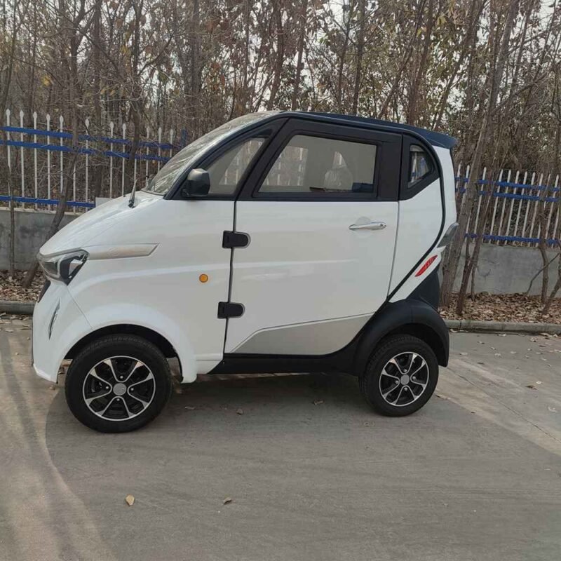 motorized cars for adults manufacturer dealer wholesale