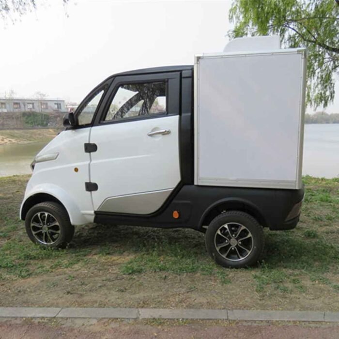 new electric vehicle manufacturer dealer wholesale