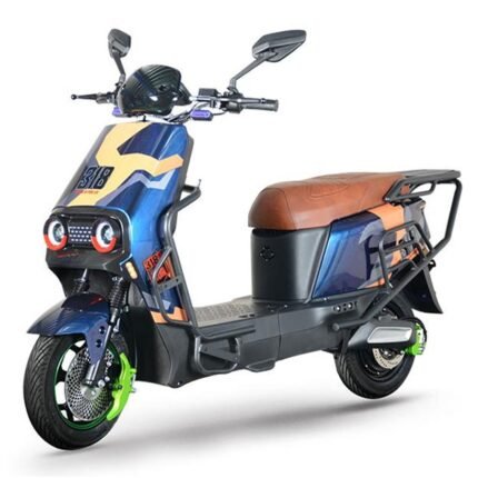 nice electric scooter r3030 20ah lithium battery CKD wholesale