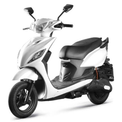 scooters for adults r3007 10 inch 1000w CKD wholesale price